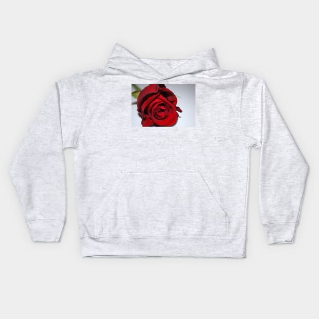 Red rose Kids Hoodie by princess-pirate